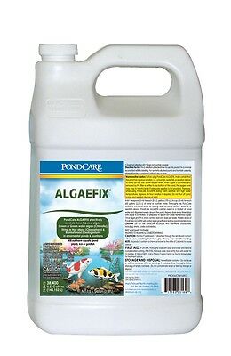 Api Pondcare Algaefix 1 Gallon Algae Control #169c